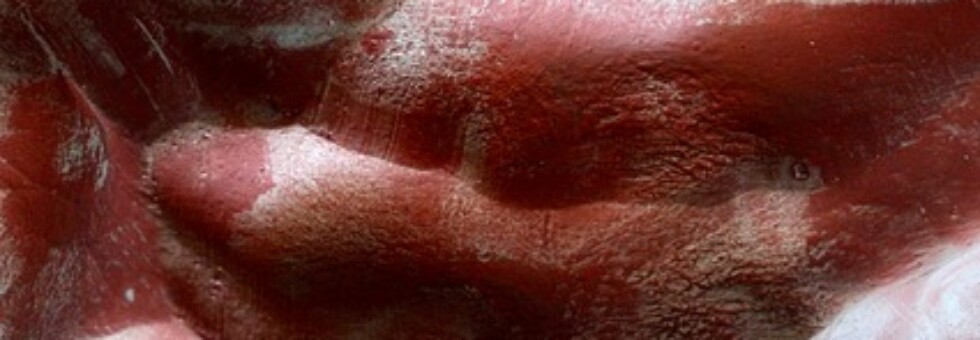 Ode_to_flesh_Test_Laura_Mahnke