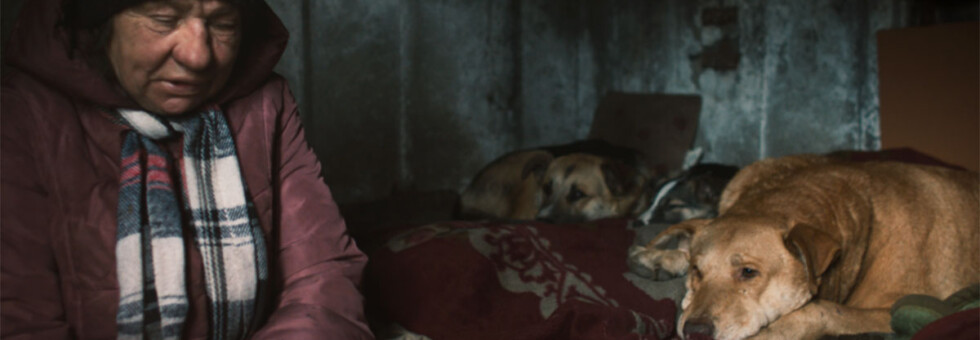 dreamingdogs-©REALFICTIONFILME