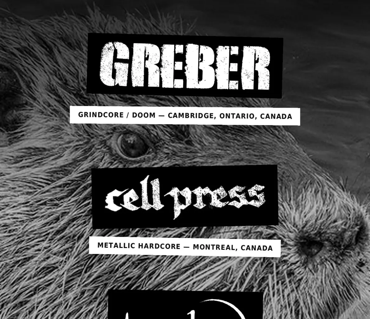 Flyer Konzert