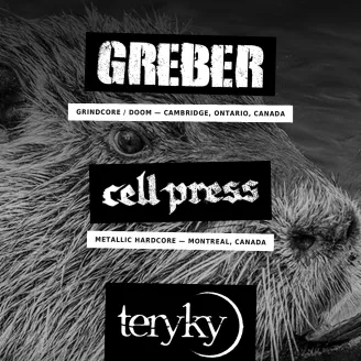 Flyer Konzert